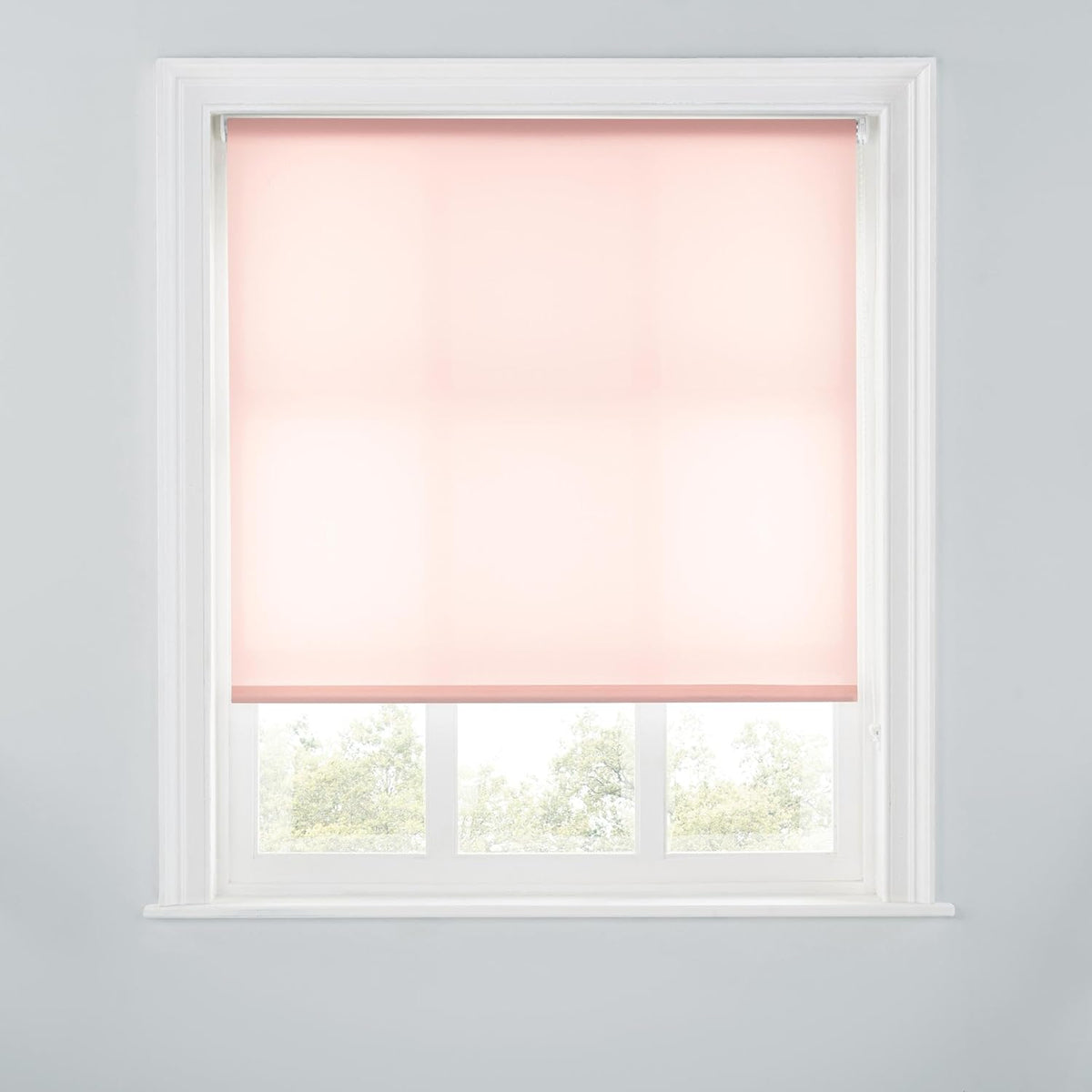 Trimmable Light-Filtering Daylight Roller Blind