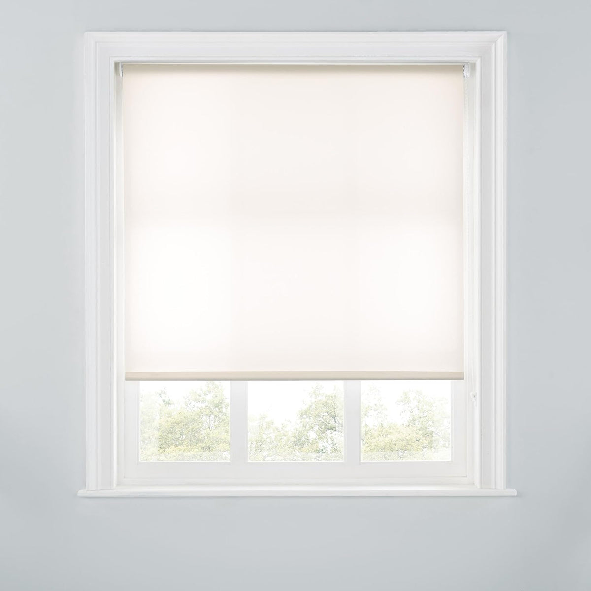 Trimmable Light-Filtering Daylight Roller Blind