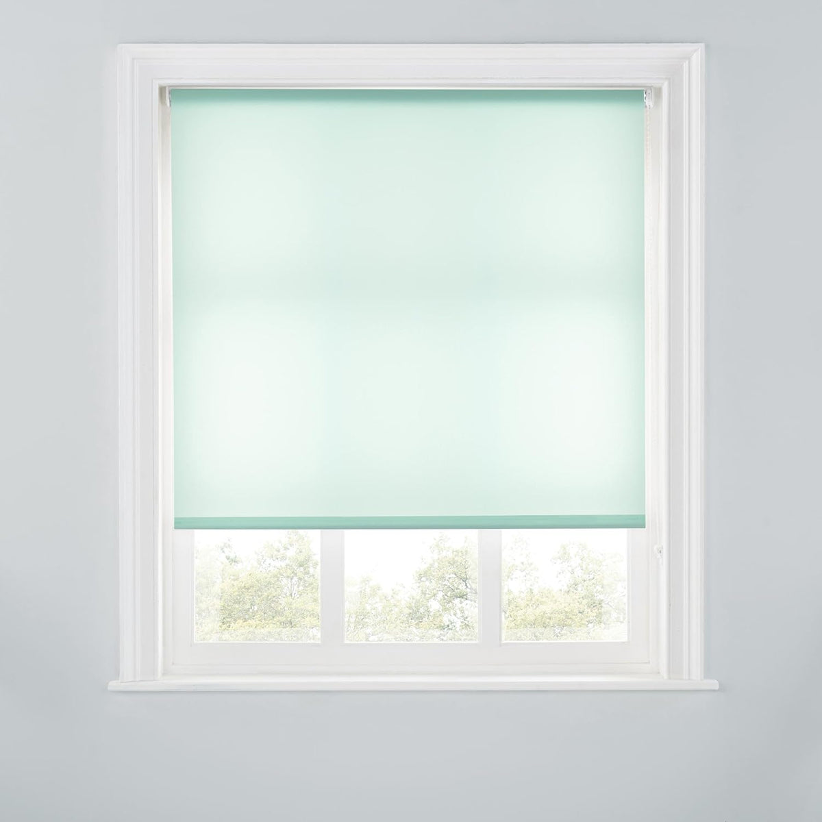 Trimmable Light-Filtering Daylight Roller Blind