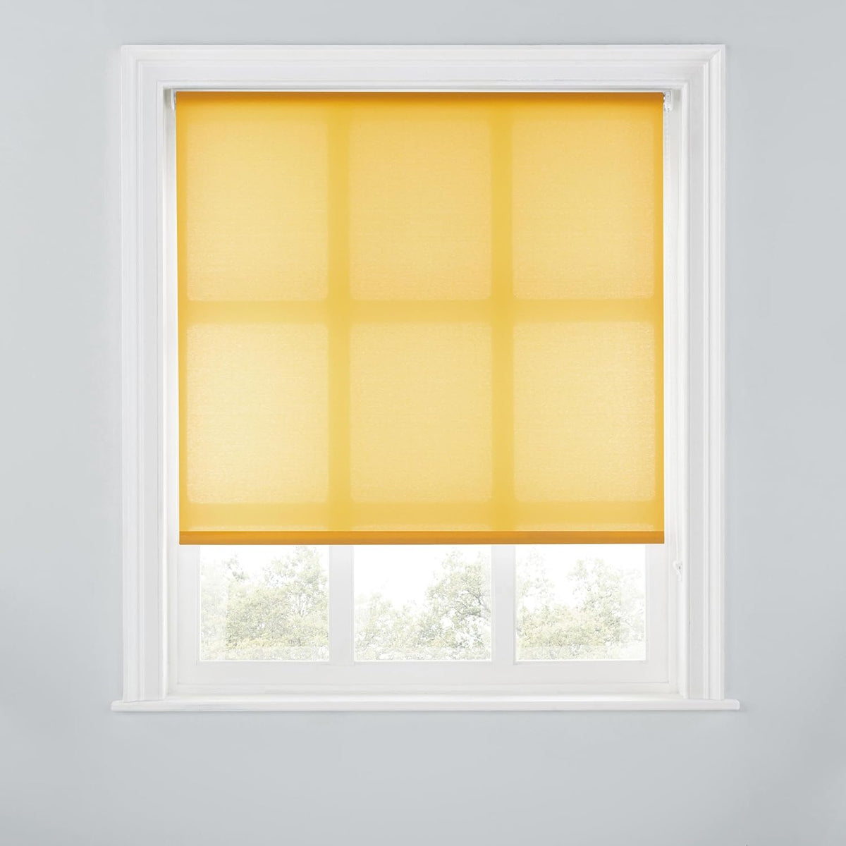 Trimmable Light-Filtering Daylight Roller Blind