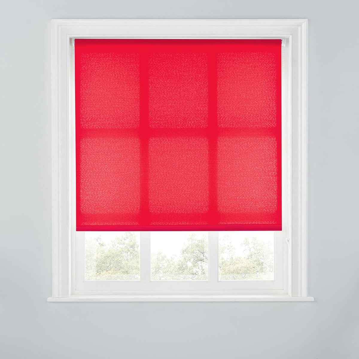 Trimmable Light-Filtering Daylight Roller Blind