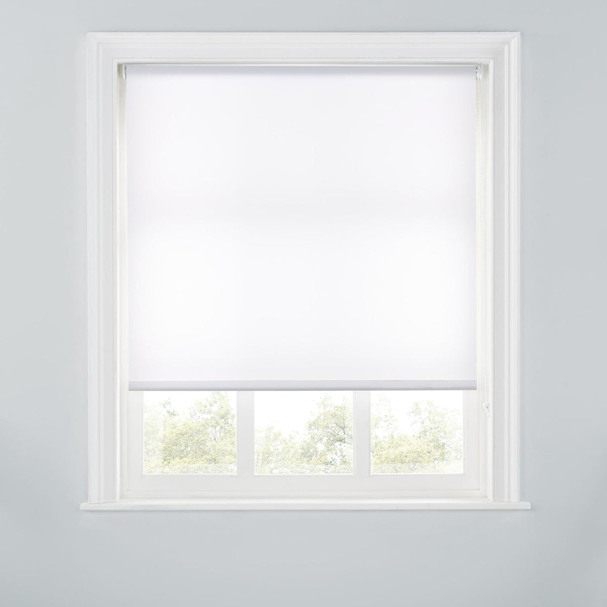 Trimmable Light-Filtering Daylight Roller Blind